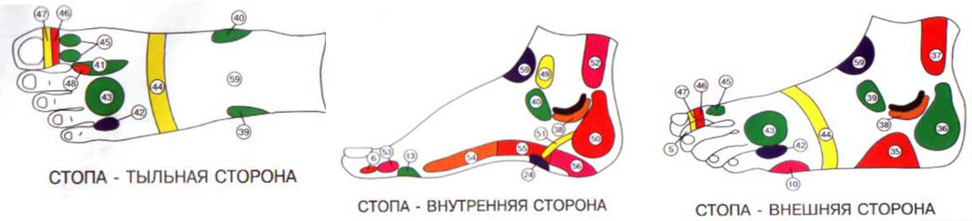 Стопа