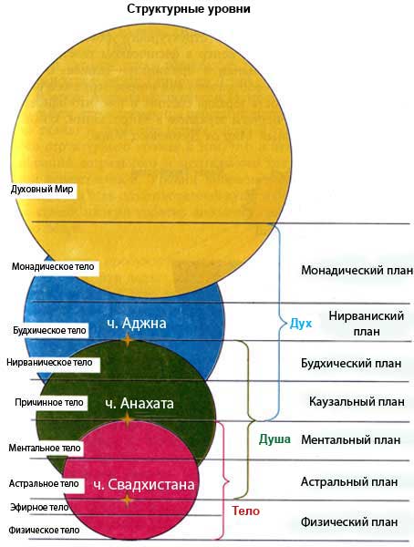 Тонкие тела Tonk_tela_clip_image002